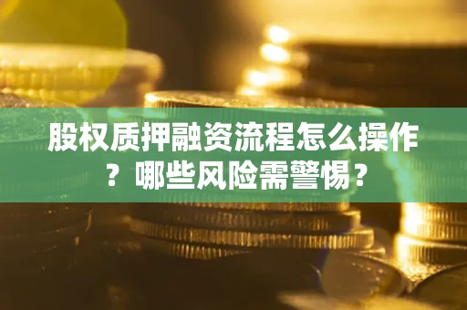北京股权质押融资流程怎么操作？哪些风险需警惕？
