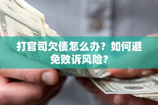 北京打官司欠债怎么办？如何避免败诉风险？