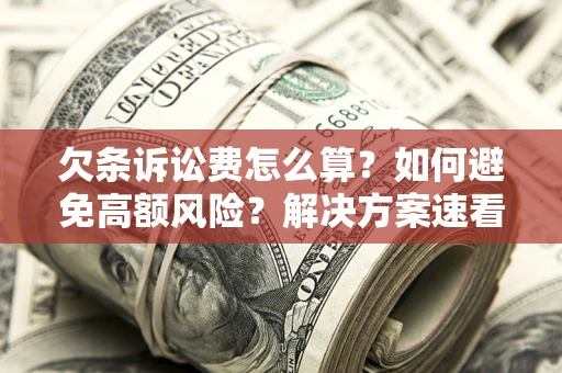 北京欠条诉讼费怎么算？如何避免高额风险？解决方案速看！