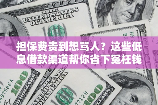 北京担保费贵到想骂人？这些低息借款渠道帮你省下冤枉钱