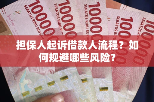 北京担保人起诉借款人流程？如何规避哪些风险？
