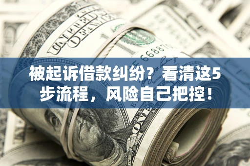 北京被起诉借款纠纷？看清这5步流程，风险自己把控！